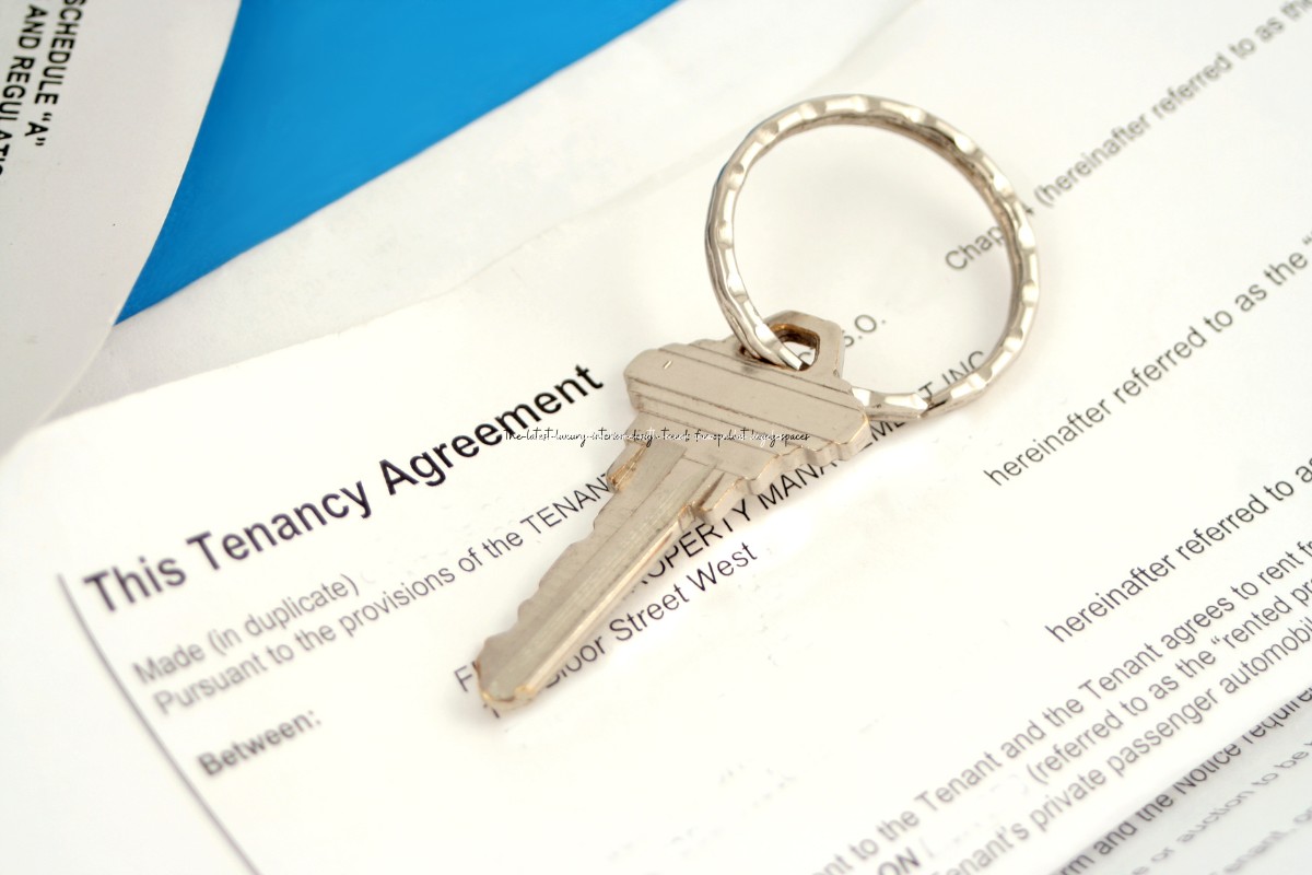 Maximize Your Tenant Improvement Allowance Guide