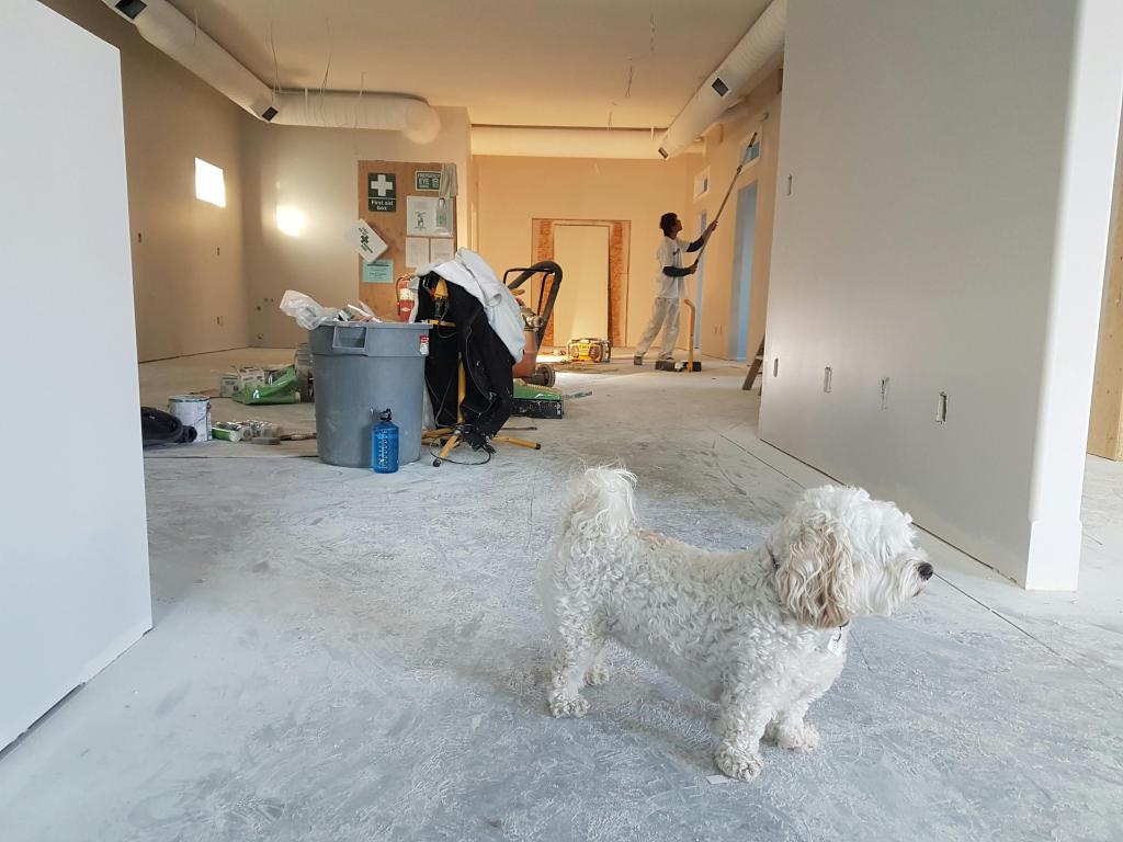 Home remodeling in San Diego or Home Remodeling near me San Diego 